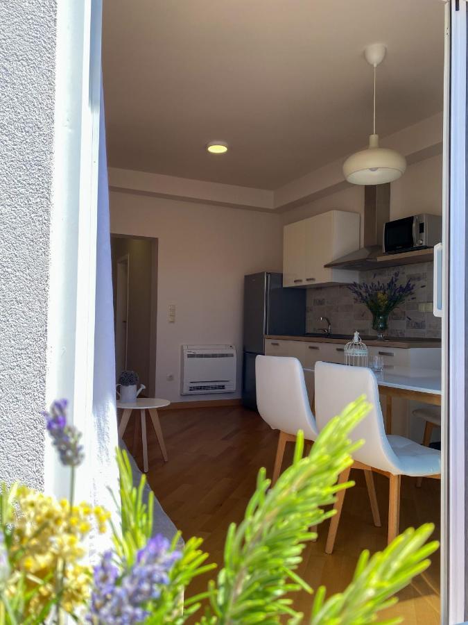 Apartments Dalmatino Vodice Dış mekan fotoğraf
