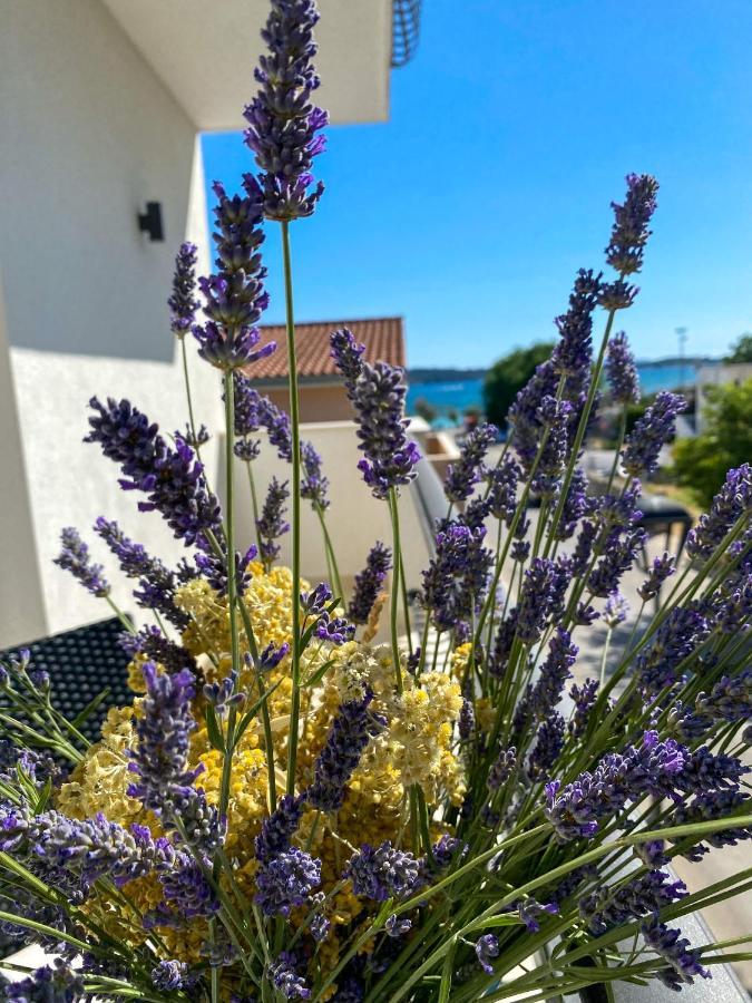 Apartments Dalmatino Vodice Dış mekan fotoğraf